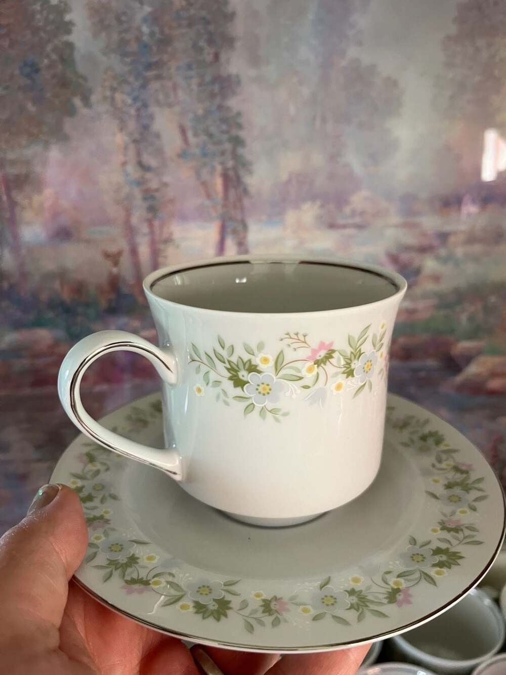 Johann Haviland Bavaria Germany Floral Tea Cup and Saucer Set